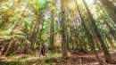 2025 edition of IOC Climate Action Awards launched as a call to action